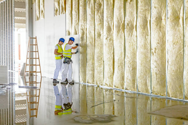 Types of Insulation We Offer in Dacono, CO